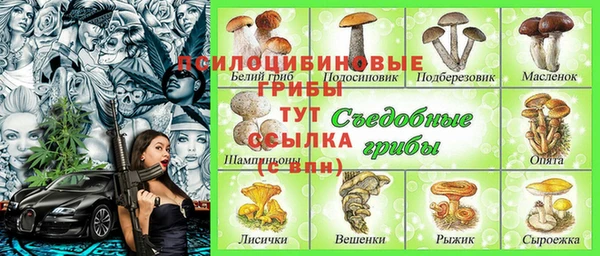 твердый Касимов