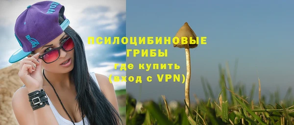 гашик Киренск