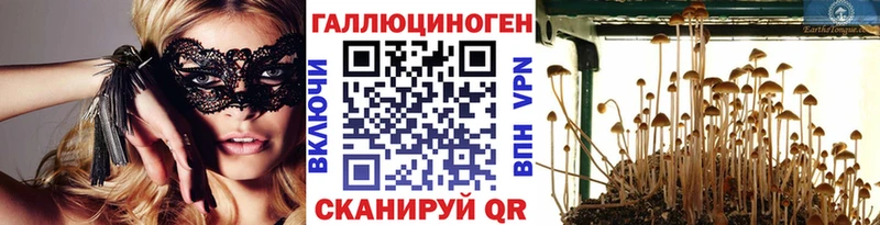 магазин продажи наркотиков  Кропоткин  Псилоцибиновые грибы Magic Shrooms 