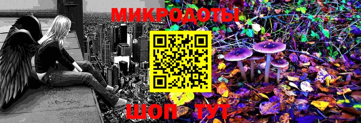 Псилоцибиновые грибы мицелий Кропоткин